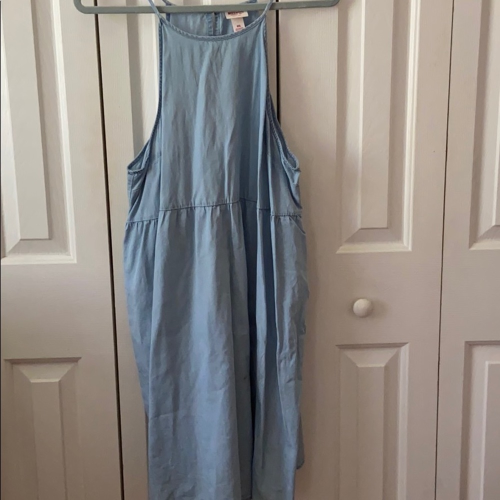 Plus Size Chambray Target Dress